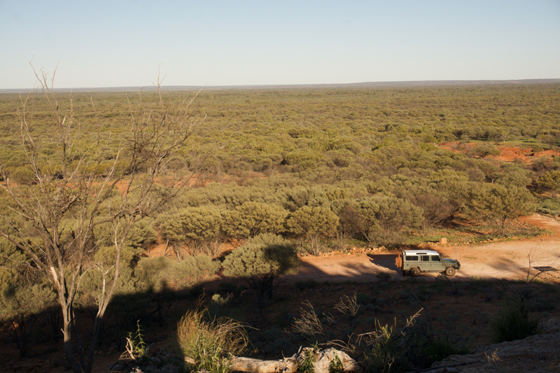 Budjiti_Lookout1